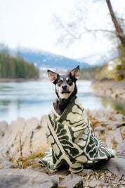 green and white, light weight blanket, sun pattern, camping, van life, outdoors, warm, Les Saisons, Blanket boho, adventure, aesthetic, designer blanket, artist collaboration, acrylique, soft cozy, couverture douce, décor, design intérieur, organic, geometric, artiste, vert et blanc, motif de soleil.