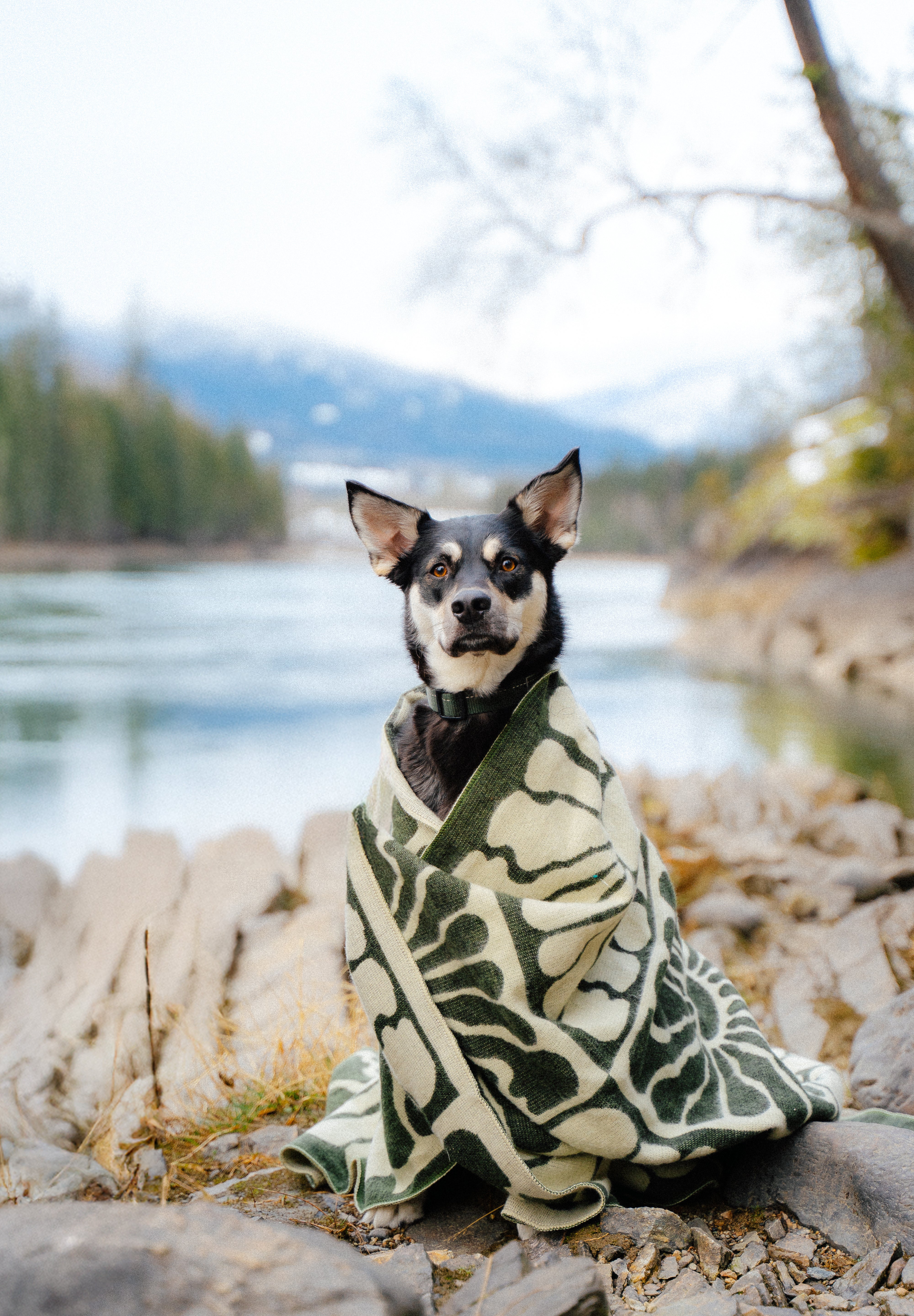 green and white, light weight blanket, sun pattern, camping, van life, outdoors, warm, Les Saisons, Blanket boho, adventure, aesthetic, designer blanket, artist collaboration, acrylique, soft cozy, couverture douce, décor, design intérieur, organic, geometric, artiste, vert et blanc, motif de soleil.