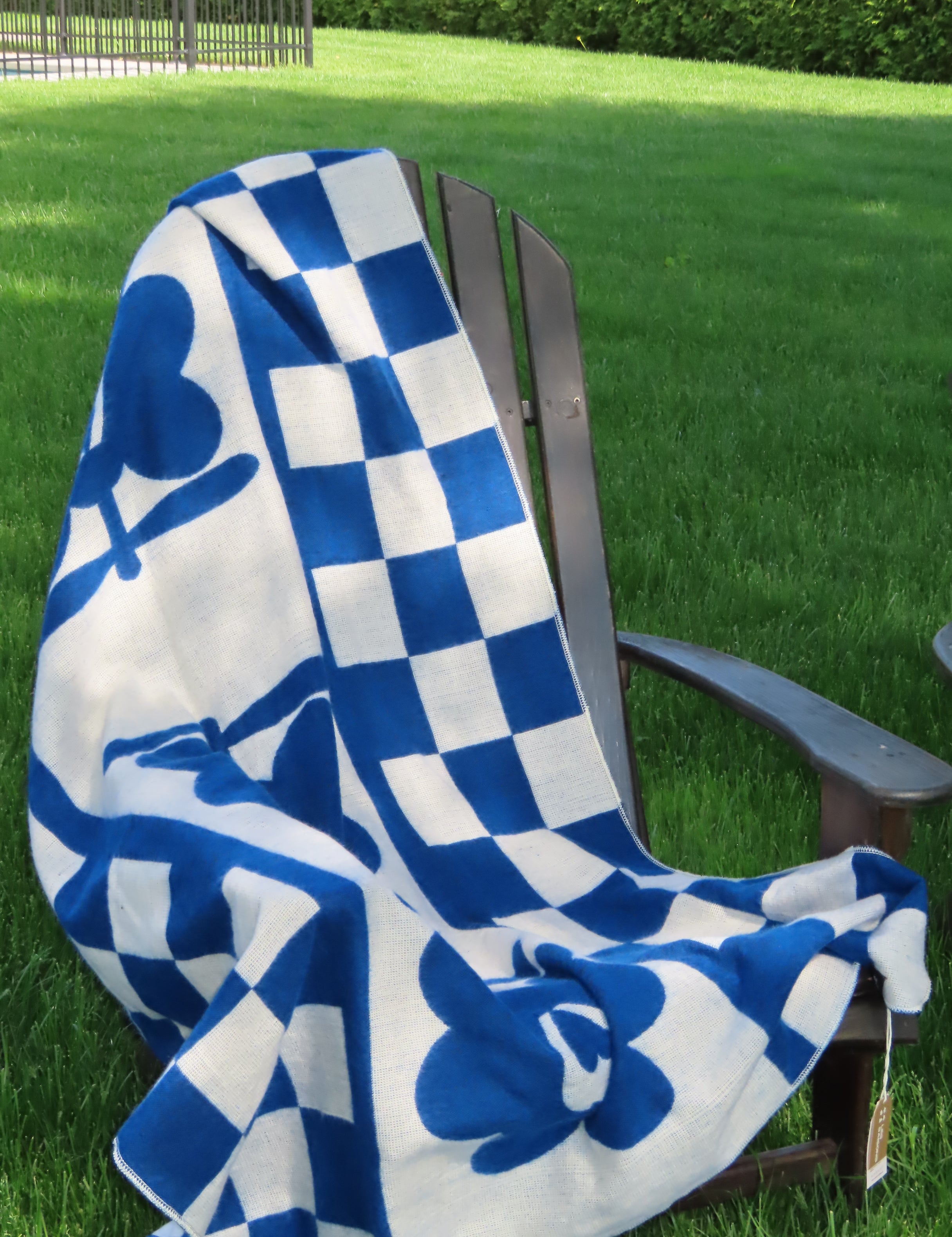 Blue and white checkered blanket with flower design on a chair with grassy surface