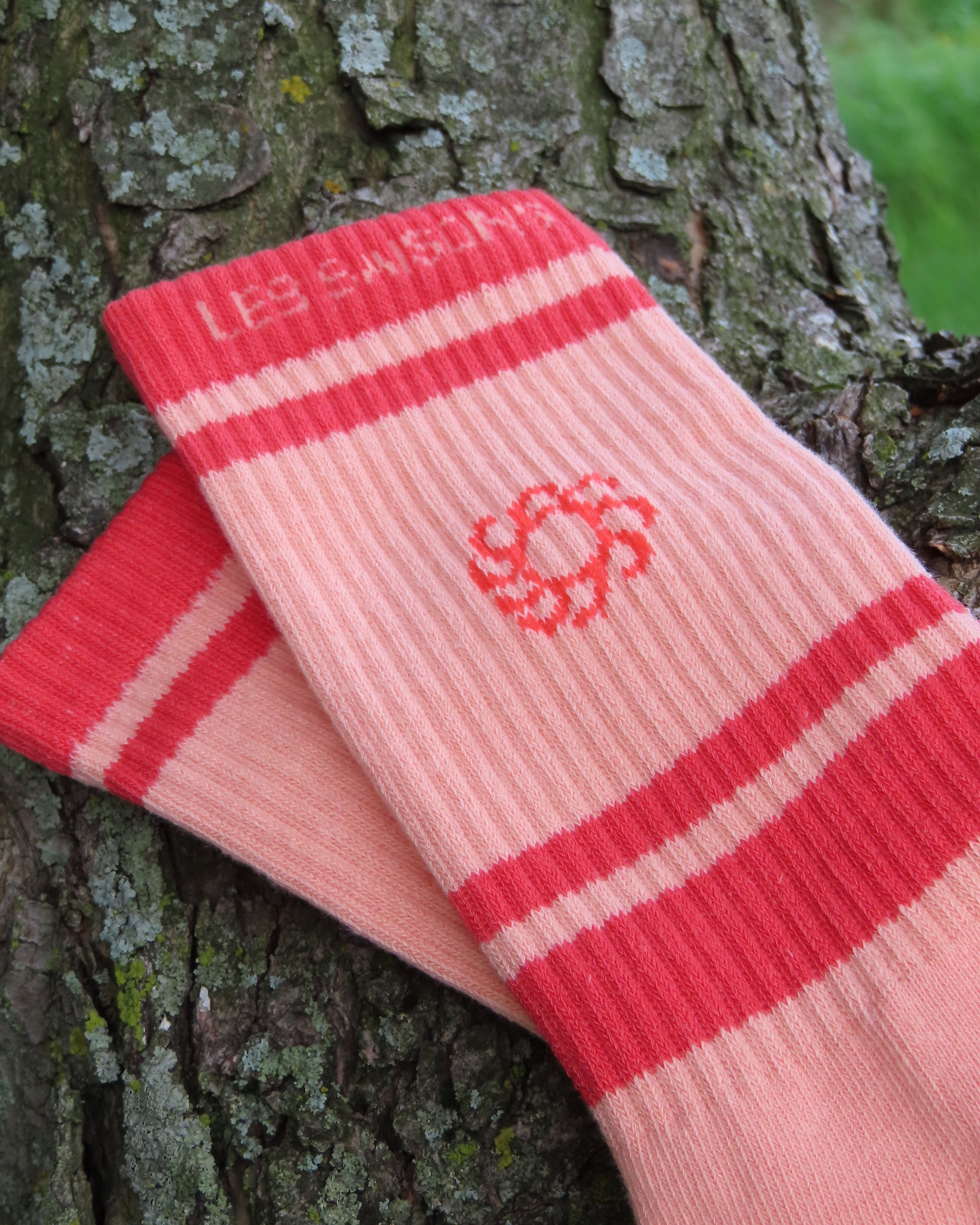 Pink and red striped socks with a logo on a tree branch