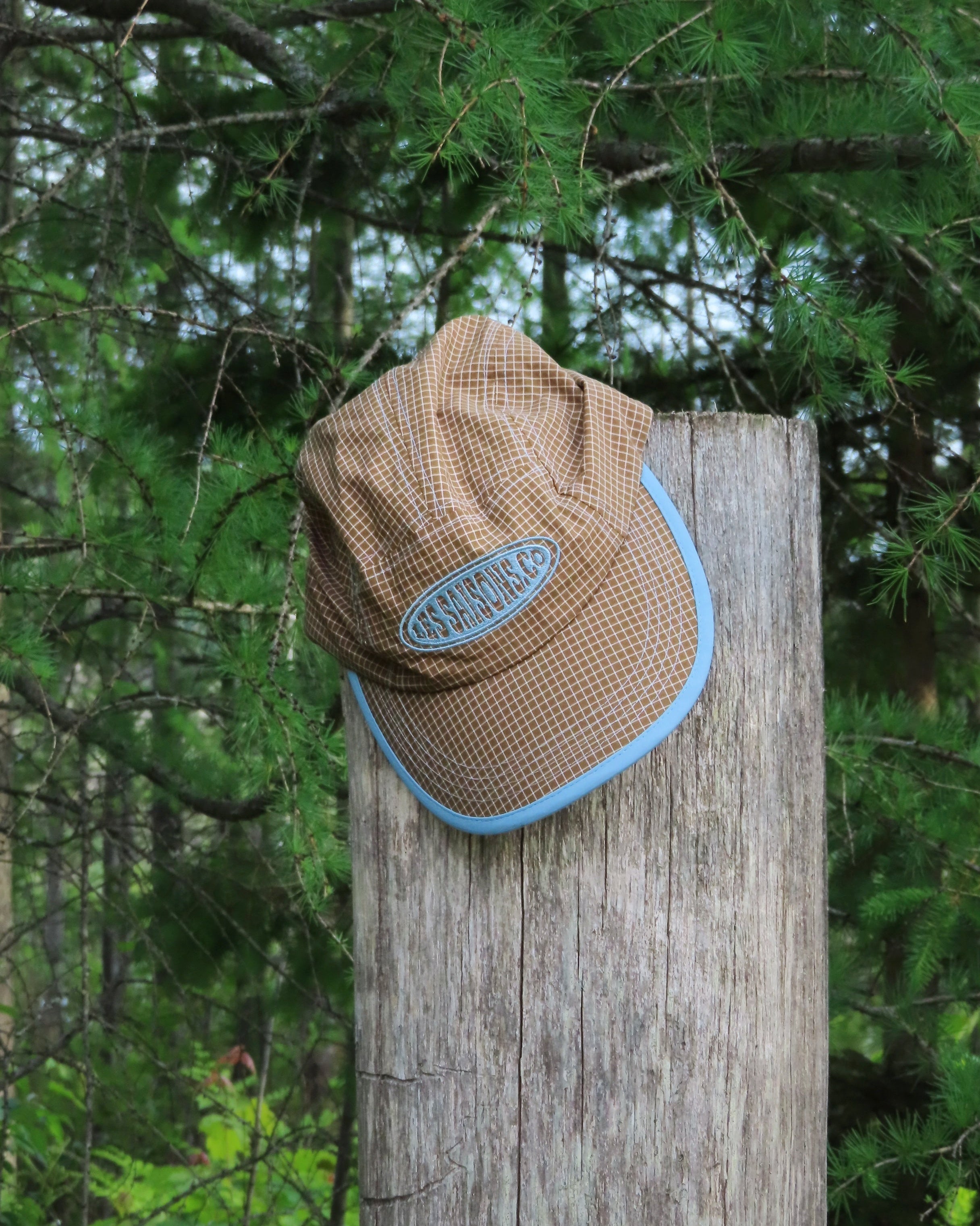 Brown cap with blue rim on a wooden post in a forest setting
