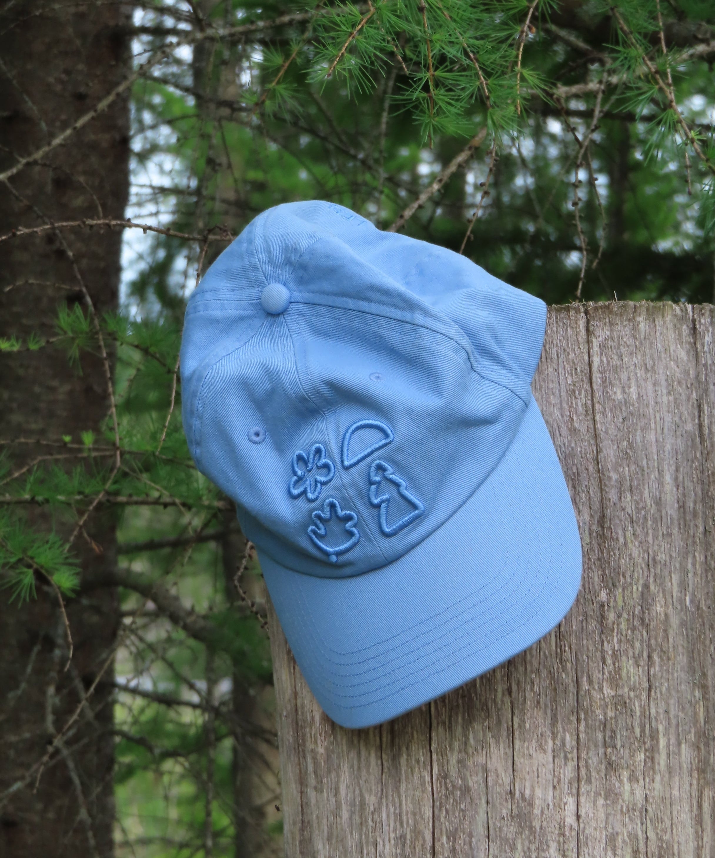 Light blue cap with a logo on a wooden post against a natural background